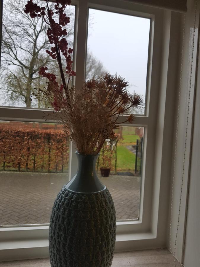 Sint-OedenrodeOp Ut Schoor公寓 外观 照片